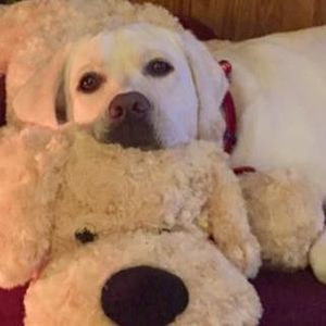 Meet your Posher, Stacy